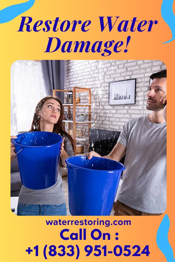 water restoration Royal Water Repair Contractors King